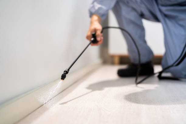 Licensed Pest Control service in Brownsville, KY - Show Me Pest Control