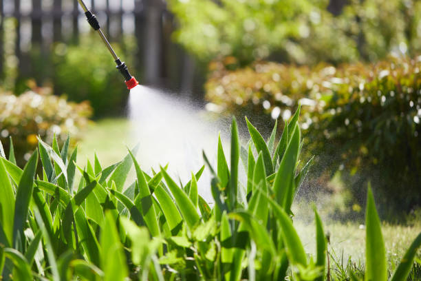 24/7 Emergency Mosquito Control experts in Brownsville, KY